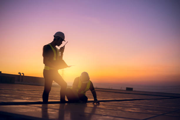 Best Roof Gutter Cleaning  in Brighton, IL