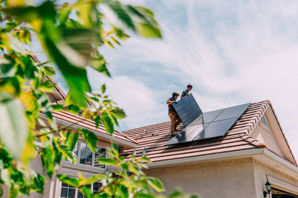 Best Roof Gutter Cleaning  in Brighton, IL