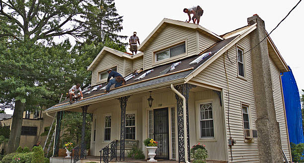 Best Metal Roofing Contractor  in Brighton, IL